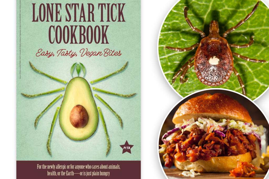 Peta has a special vegan cooking book for patients with alpha-gal