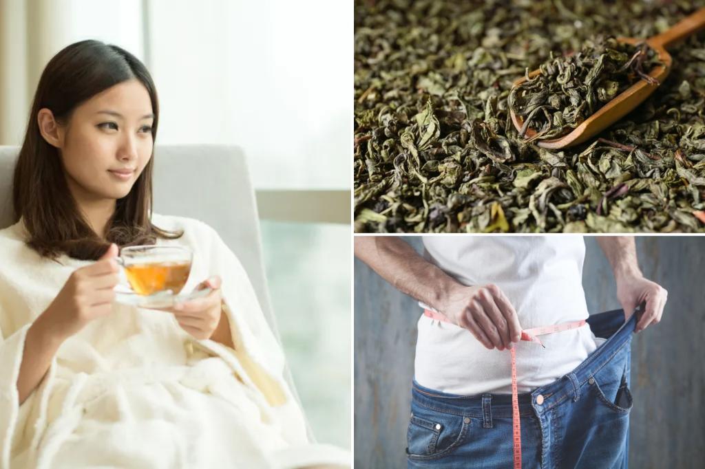 Green Green TEA GRADE MICROBIES show promises of weight loss in new study